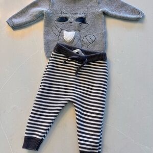 Raccoon Knit Sweater Set